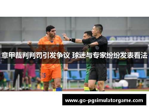 意甲裁判判罚引发争议 球迷与专家纷纷发表看法 意甲裁判判罚引发争议 球迷与专家纷纷发表看法