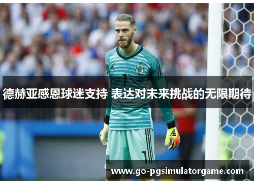 德赫亚感恩球迷支持 表达对未来挑战的无限期待 德赫亚感恩球迷支持 表达对未来挑战的无限期待
