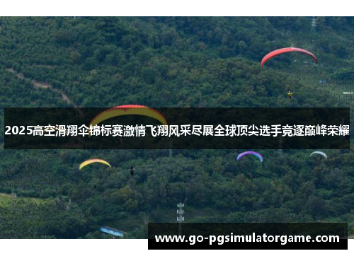 2025高空滑翔伞锦标赛激情飞翔风采尽展全球顶尖选手竞逐巅峰荣耀 2025高空滑翔伞锦标赛激情飞翔风采尽展全球顶尖选手竞逐巅峰荣耀