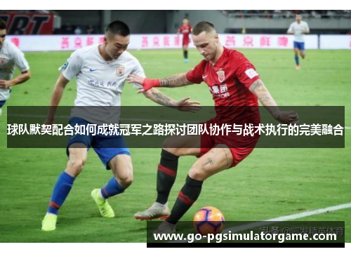 球队默契配合如何成就冠军之路探讨团队协作与战术执行的完美融合 球队默契配合如何成就冠军之路探讨团队协作与战术执行的完美融合