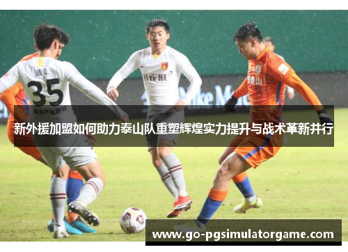 新外援加盟如何助力泰山队重塑辉煌实力提升与战术革新并行 新外援加盟如何助力泰山队重塑辉煌实力提升与战术革新并行