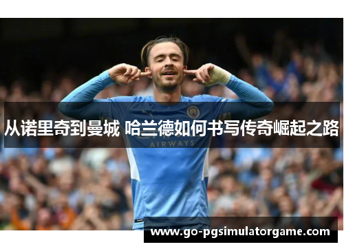 从诺里奇到曼城 哈兰德如何书写传奇崛起之路 从诺里奇到曼城 哈兰德如何书写传奇崛起之路