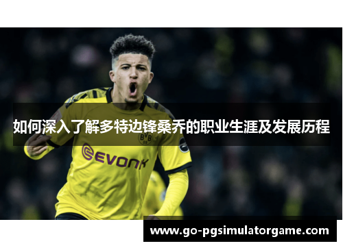 如何深入了解多特边锋桑乔的职业生涯及发展历程 如何深入了解多特边锋桑乔的职业生涯及发展历程