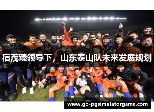 宿茂臻领导下，山东泰山队未来发展规划