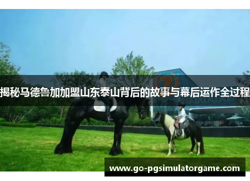 揭秘马德鲁加加盟山东泰山背后的故事与幕后运作全过程 揭秘马德鲁加加盟山东泰山背后的故事与幕后运作全过程