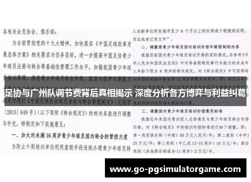 足协与广州队调节费背后真相揭示 深度分析各方博弈与利益纠葛 足协与广州队调节费背后真相揭示 深度分析各方博弈与利益纠葛