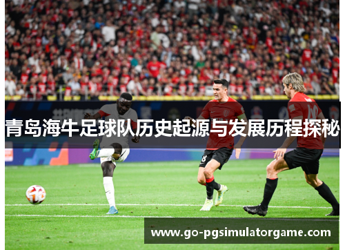 青岛海牛足球队历史起源与发展历程探秘 青岛海牛足球队历史起源与发展历程探秘
