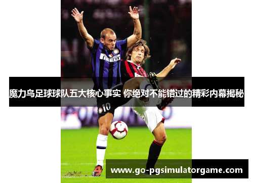 魔力鸟足球球队五大核心事实 你绝对不能错过的精彩内幕揭秘 魔力鸟足球球队五大核心事实 你绝对不能错过的精彩内幕揭秘