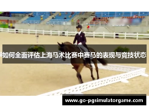 如何全面评估上海马术比赛中赛马的表现与竞技状态 如何全面评估上海马术比赛中赛马的表现与竞技状态